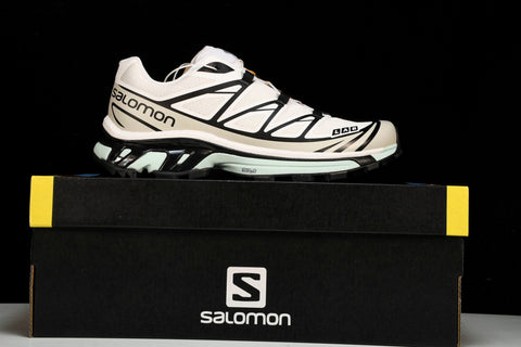 Salomon XT-6 'White Icy Morn'