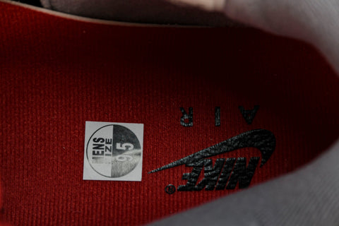 AJ4 Retro 'Bred Reimagined'