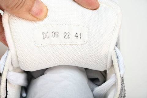 D1or B23 Skater Low 'Oblique'