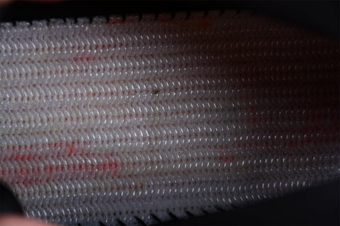 Balmain Unicorn Low-Top 'Black'