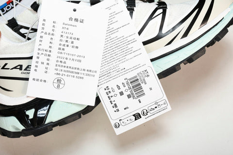 Salomon XT-6 'White Icy Morn'