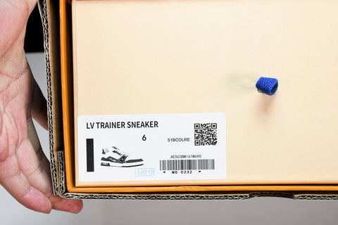 Louis Vuittоп Trainer Low 'Signature Black'